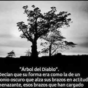 Meet your Posher, Cesar